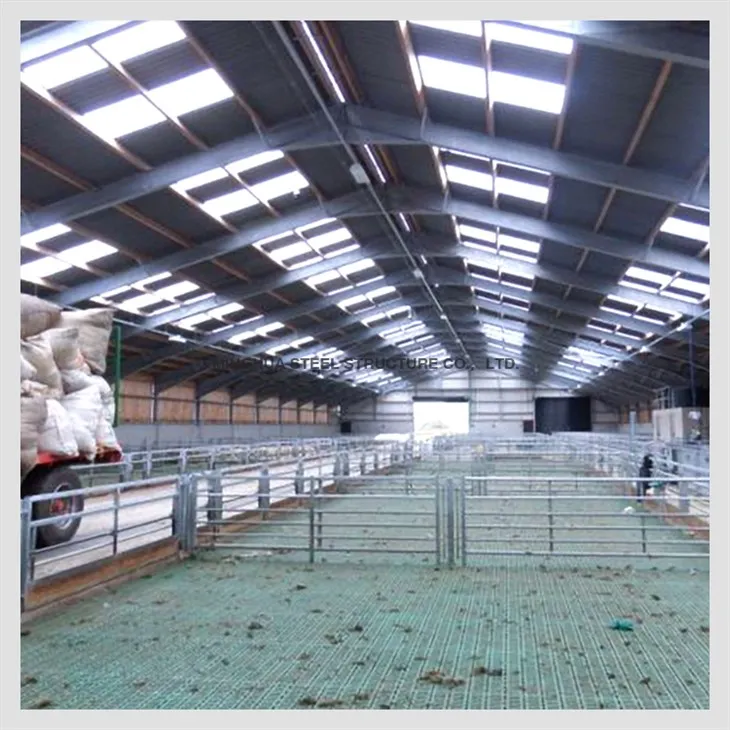 Steel Structure Sheep Farm