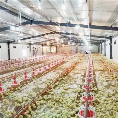 Farma kokošinjaca